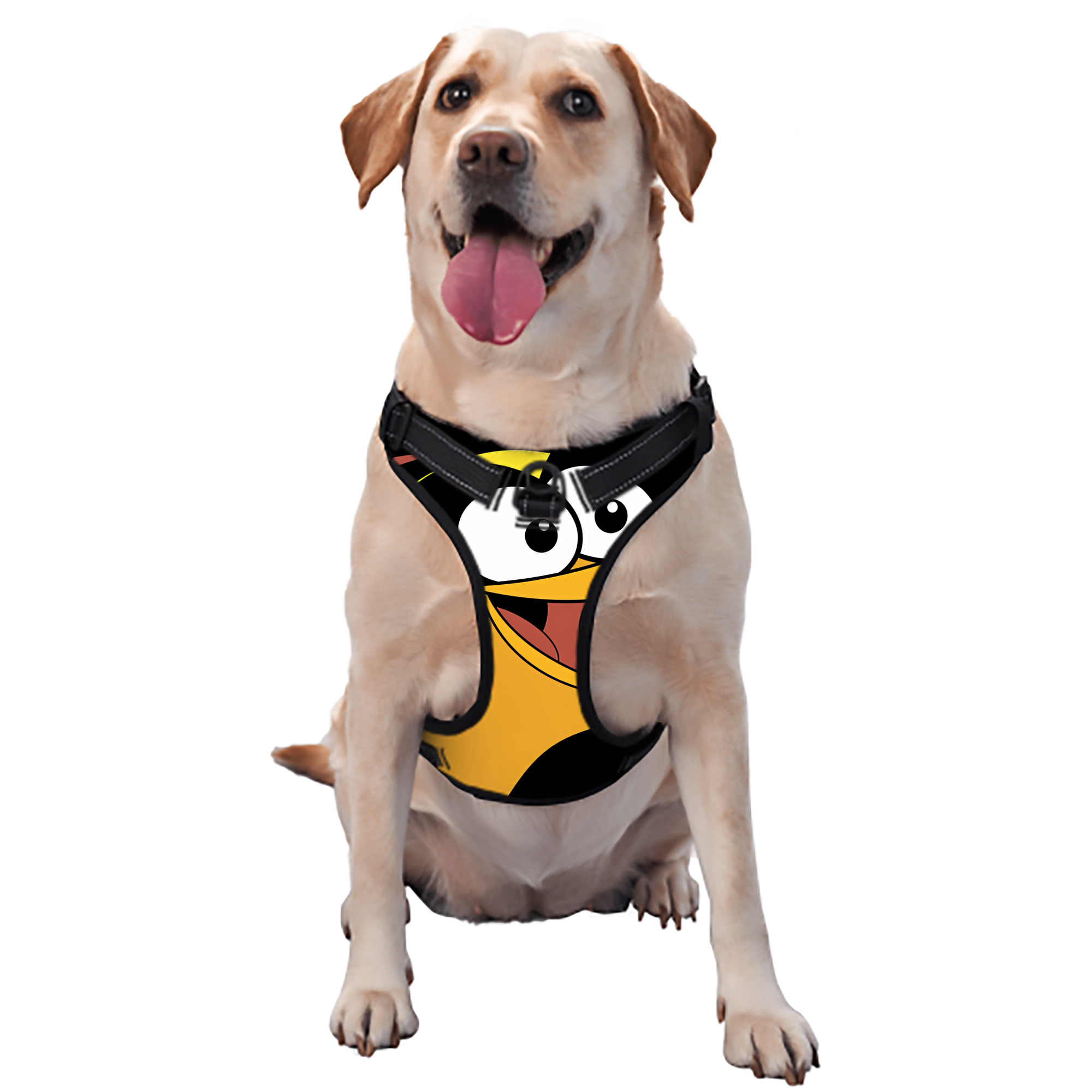 （画像用） Angry Birds アングリーバード ペット用ハーネス